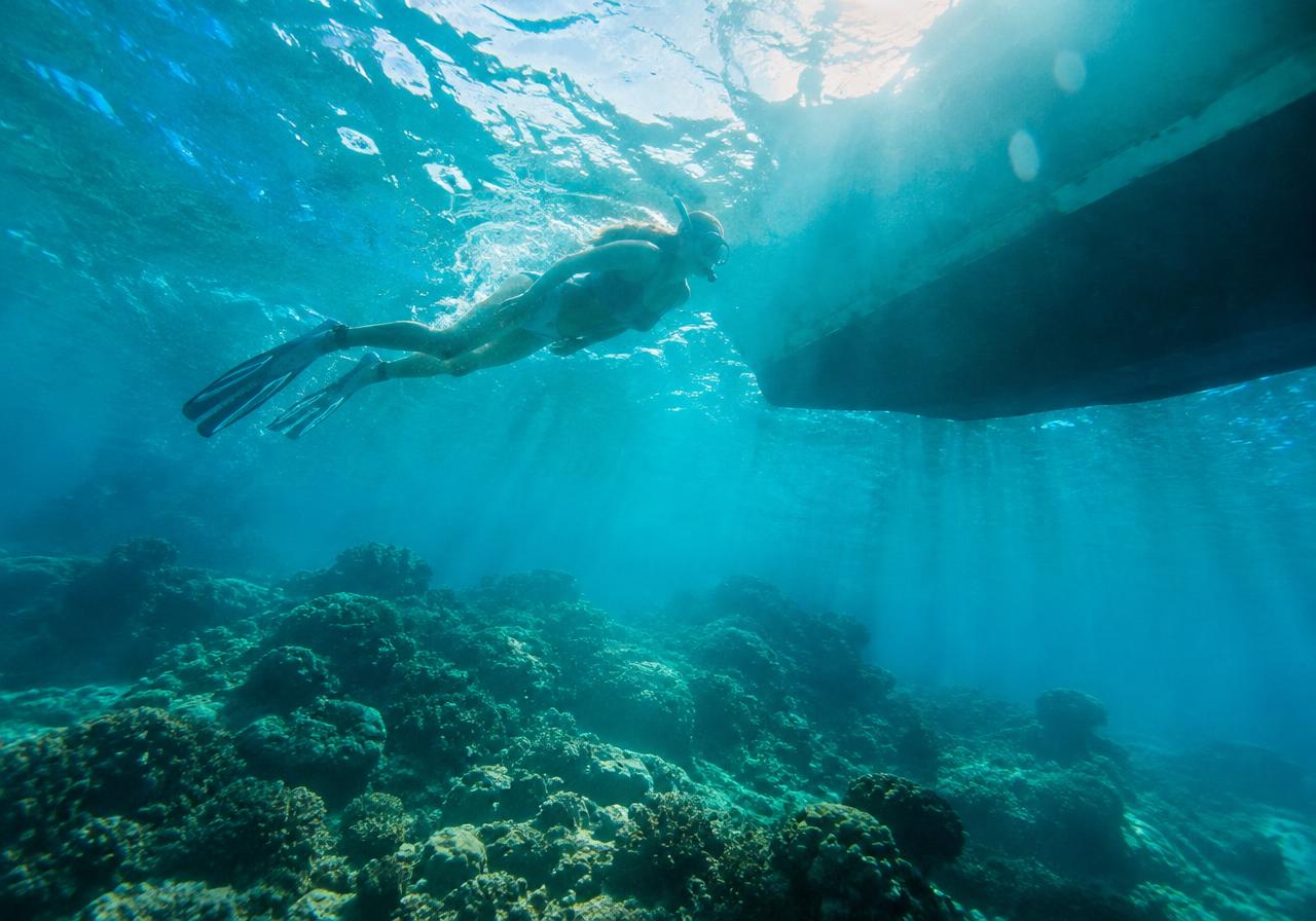 Diving & Snorkelling
